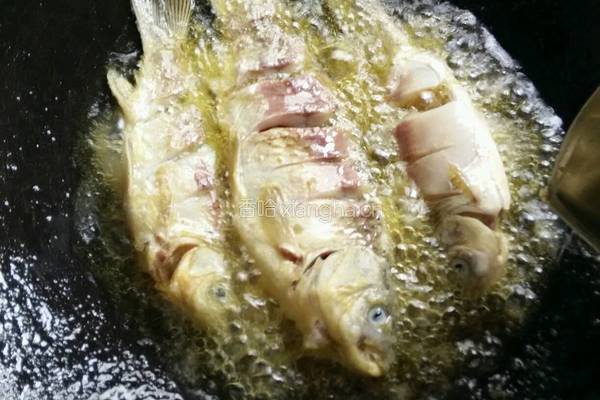 鲫鱼豆腐汤的做法图解4