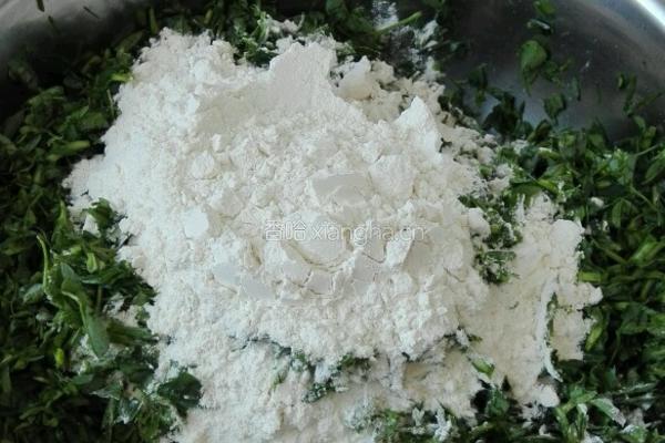 苜蓿菜疙瘩的做法图解4