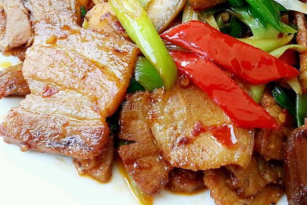 回锅肉的做法图解10