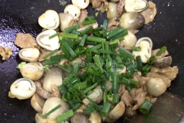 瘦肉炒草菇的做法图解6