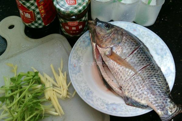 香煎非洲鲫的做法图解1