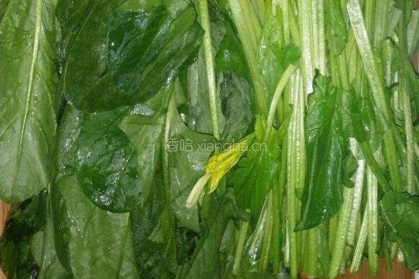 凉拌双椒菠菜粉丝的做法图解3