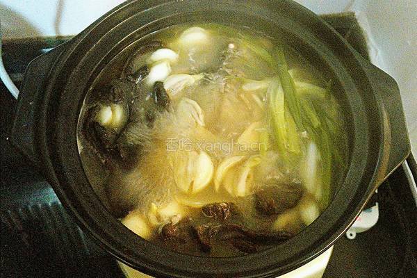 野蘑菇鲫鱼豆腐汤的做法图解7