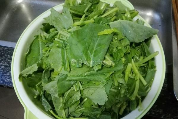 蚝油介兰菜的做法图解2