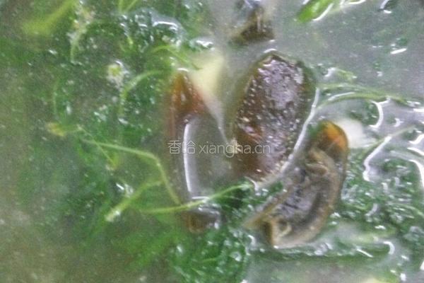 百花菜蛋汤的做法图解4