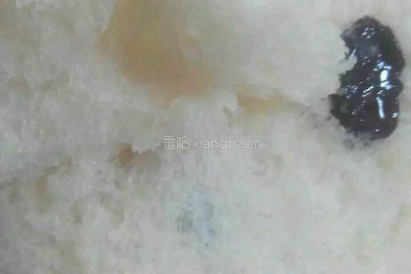 面包机版葡萄干牛奶面包的做法图解6