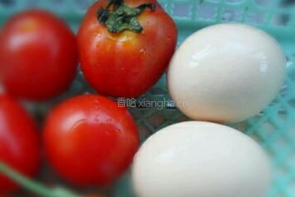 西红柿炒蛋的做法图解1