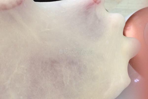 中种法面包的做法图解5