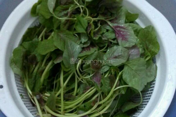 蒜末苋菜的做法图解1