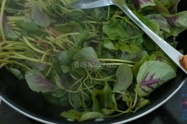蒜末苋菜的做法图解3