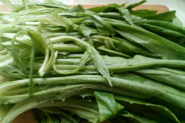 蒜蓉油麦菜的做法图解1