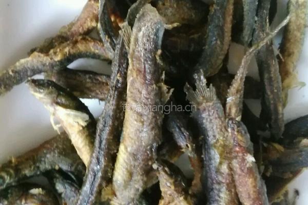 干煸泥鳅的做法图解7