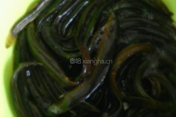 干煸泥鳅的做法图解12