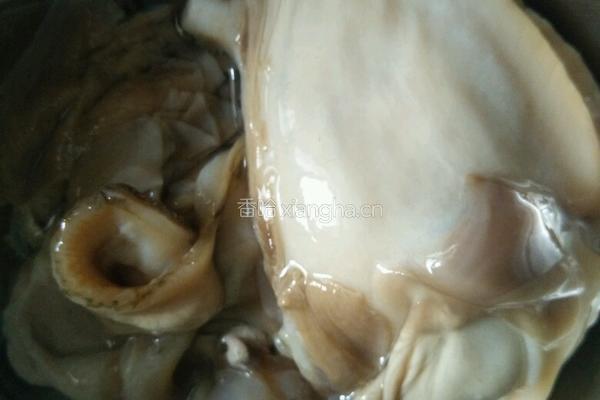辣炒河蚌的做法图解1