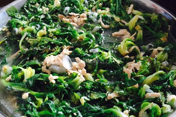 上汤荠菜肉丝的做法图解3