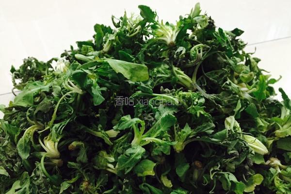 上汤荠菜肉丝的做法图解1