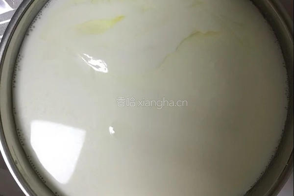 自制酸奶的做法图解6