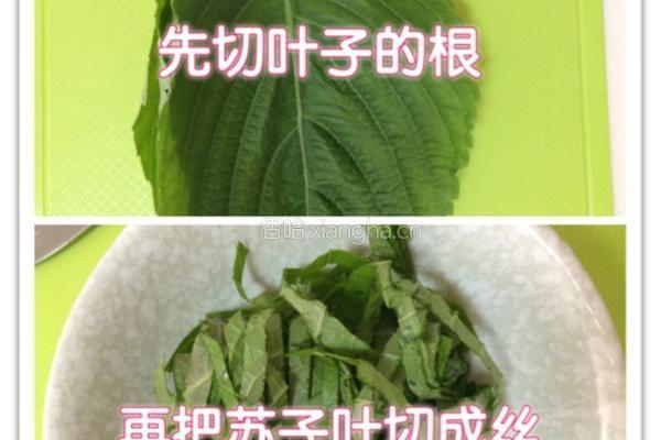 辣白菜豆芽拌饭的做法图解7