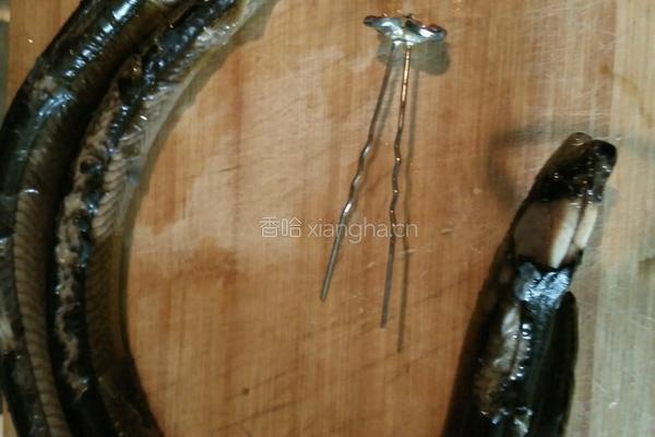 黄鳝炒韭菜的做法图解2