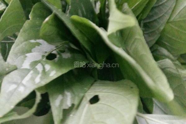 紫色糯米饭的做法图解1