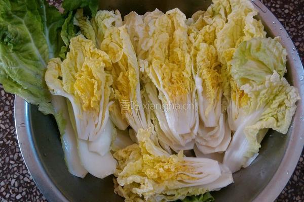 清水白菜的做法图解4