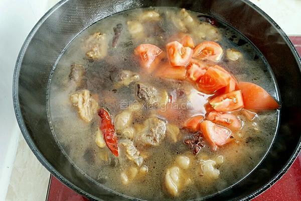 番茄土豆烧牛腩的做法图解9