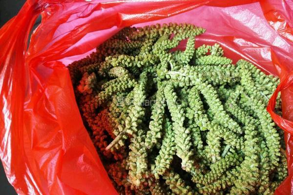 核桃花猪肉蒸包的做法图解1
