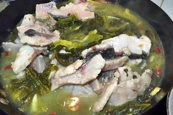 酸菜鱼的做法图解14