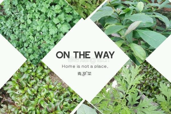广东擂茶的做法图解3