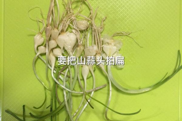 山蒜蚬子汤的做法图解3