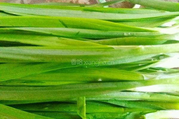 春韭三丝的做法图解1