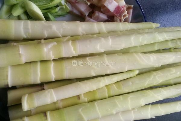 雪菜腊肉炒野笋的做法图解1
