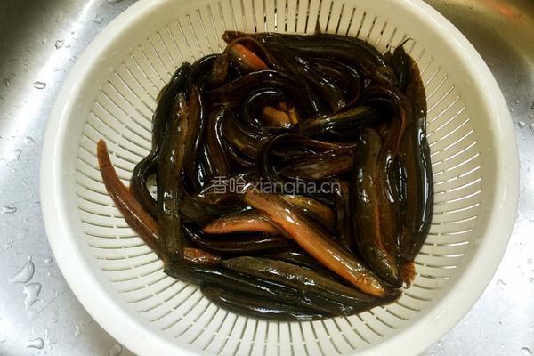 白灼泥鳅的做法图解1
