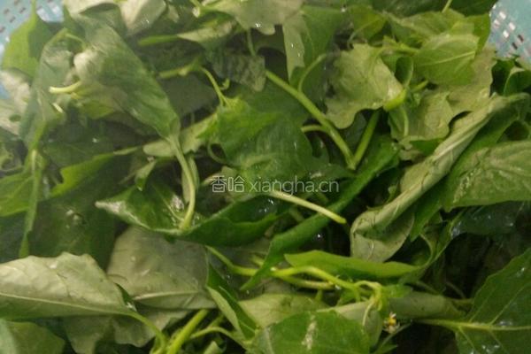 肉末野菜汤的做法图解1