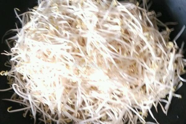 豆芽春卷的做法图解2