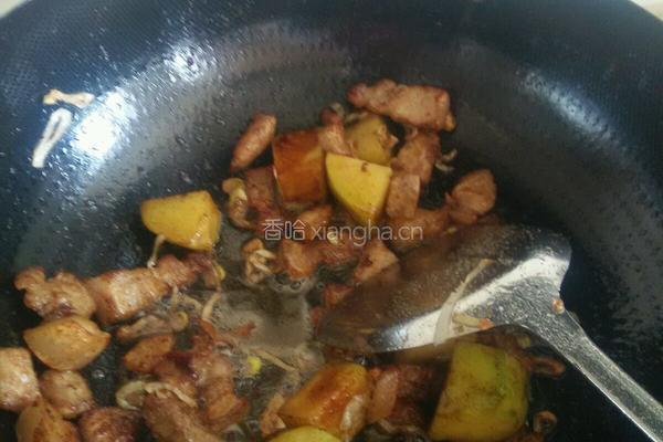 猪肉烩酸菜的做法图解4