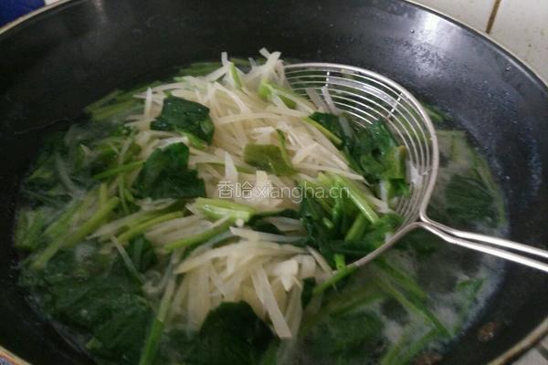 凉拌土豆丝的做法图解6