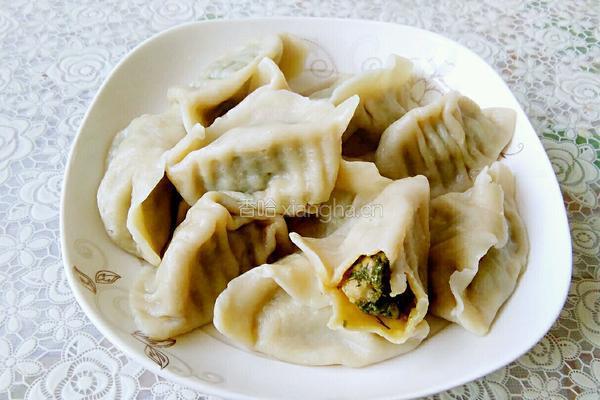 茴香饺子的做法图解9