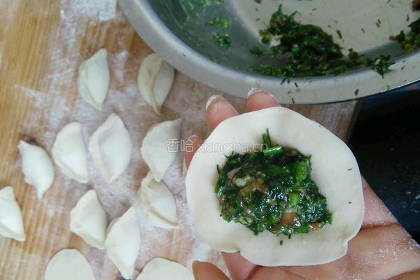 茴香饺子的做法图解6