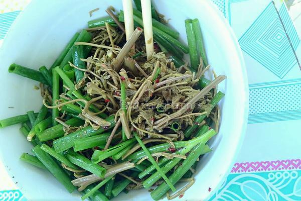 凉拌木兰芽的做法图解4