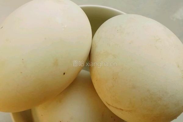 枸杞尖炒鹅蛋的做法图解1