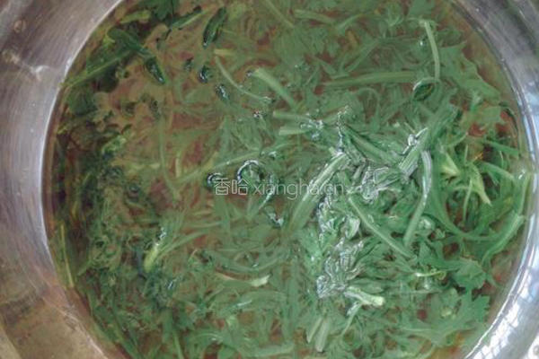 凉拌茼蒿叶的做法图解6
