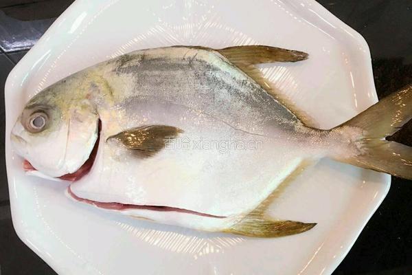 豆鼓蒸仓鱼的做法图解1