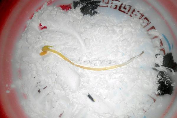 香炸绿豆芽的做法图解4
