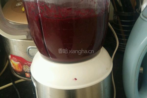 桑葚膏的做法图解3
