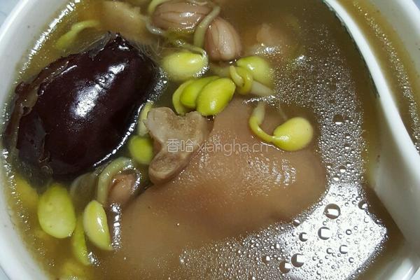 红枣黄豆花生炖猪蹄汤