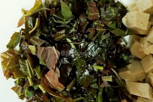 香椿豆腐的做法图解4