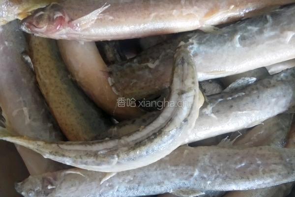 香辣泥鳅的做法图解1