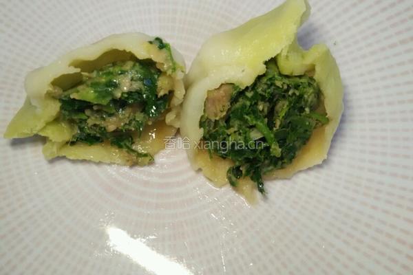 苜蓿猪肉馅饺子的做法图解10
