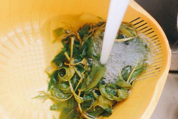 香椿鸡蛋饼的做法图解5